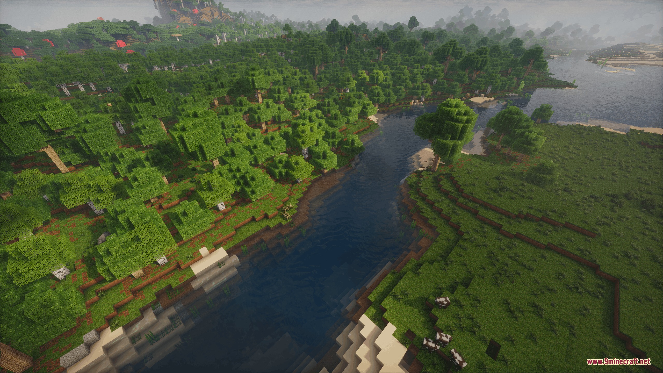A scenic aerial view of a river flowing through a dense green forest