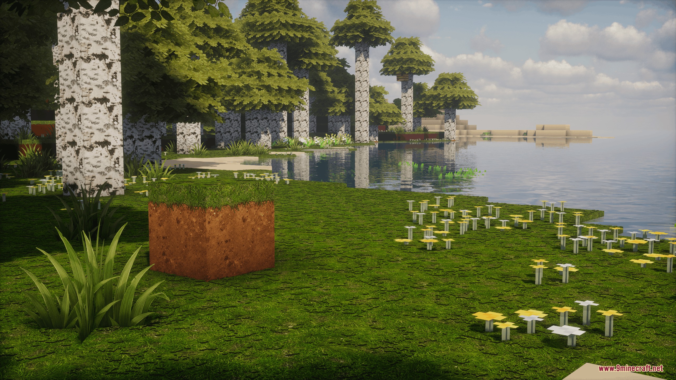 High resolution grass block and birch trees with flower overlays near water