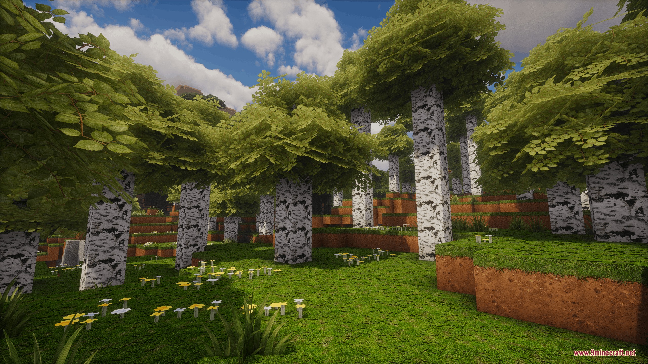 Detailed birch trees and thick foliage create a lush environment in Minecraft