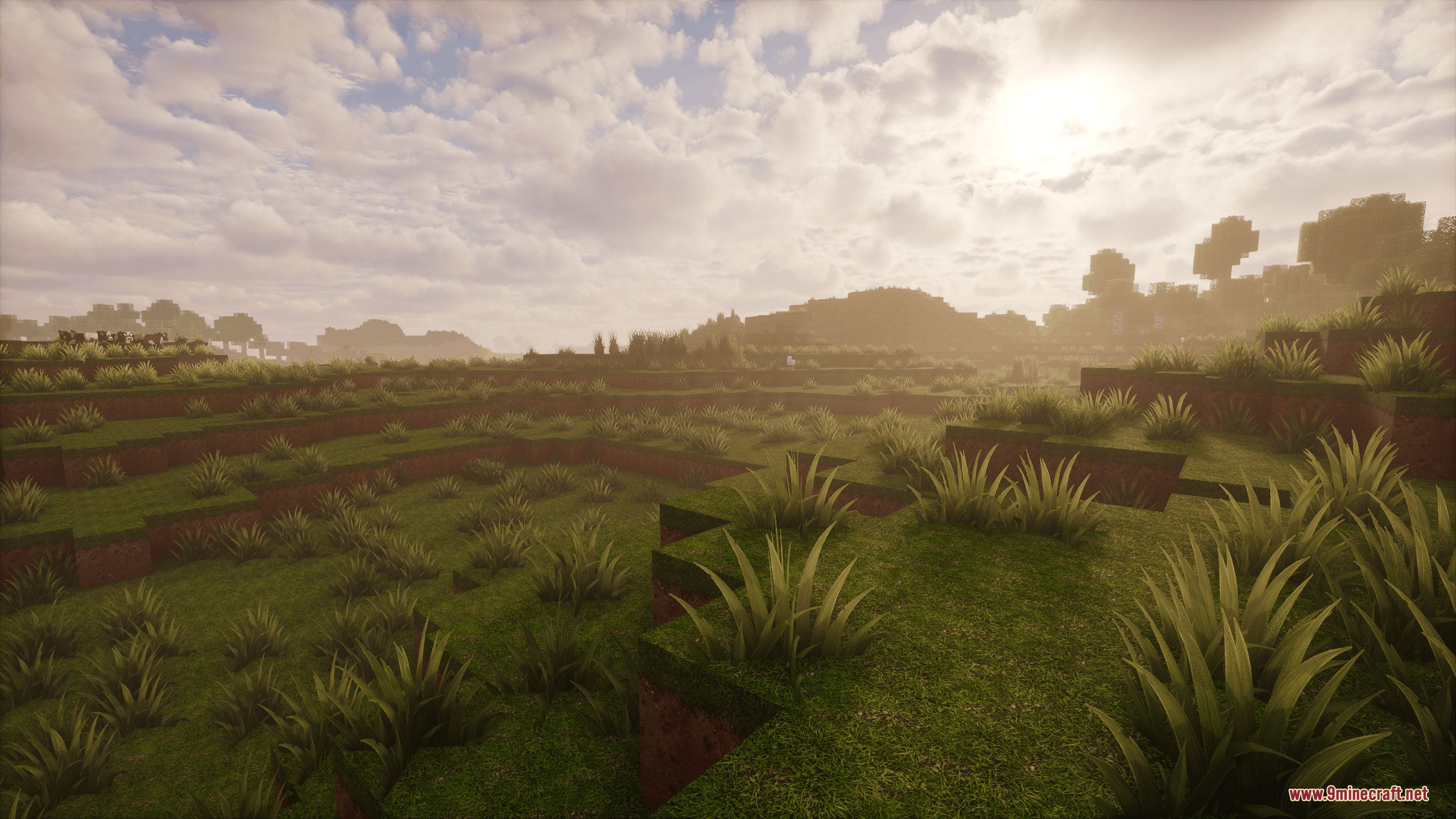 A vast landscape with high resolution grass textures under a bright cloudy sky