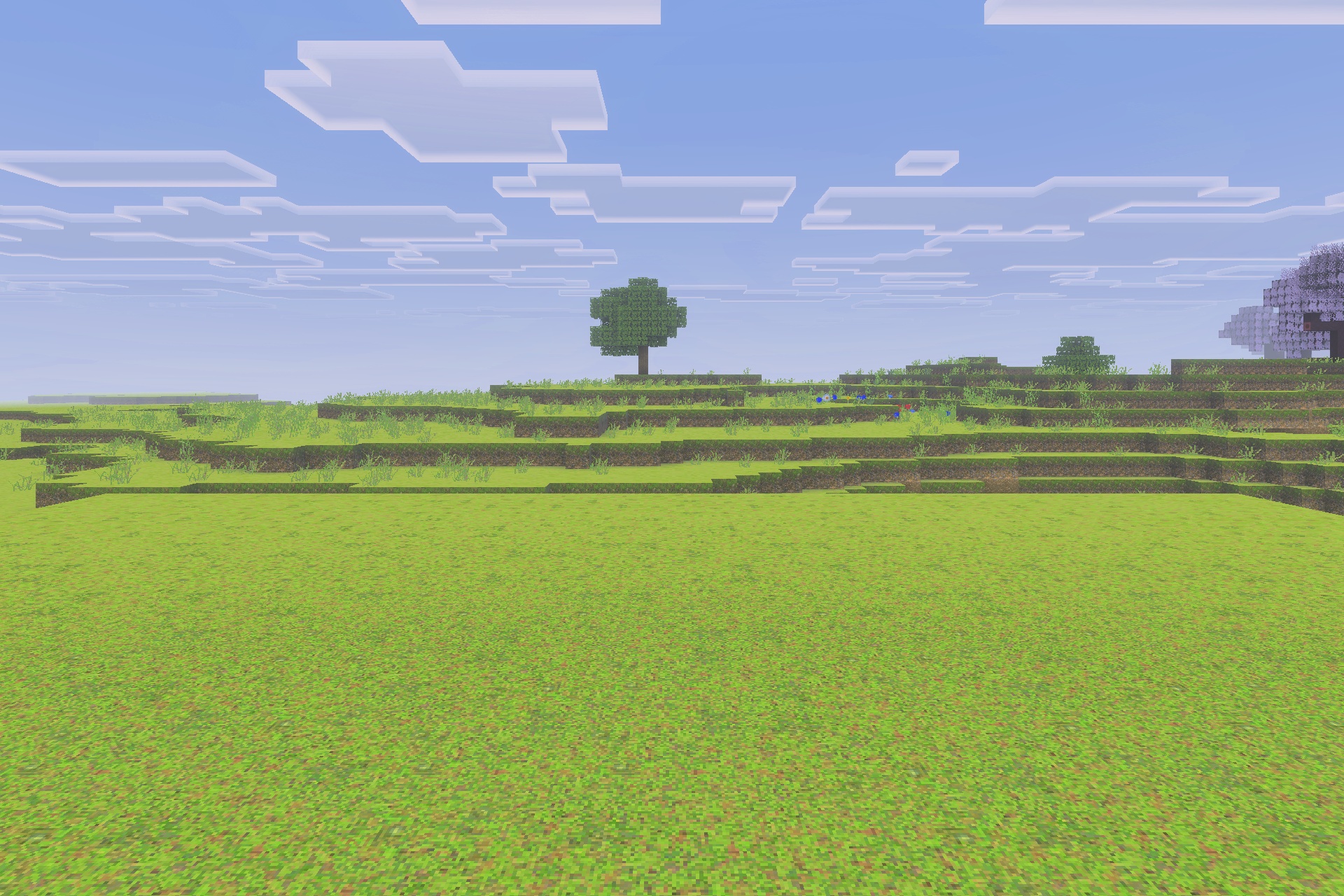A wide Minecraft landscape featuring realistic grass textures and a clear blue sky