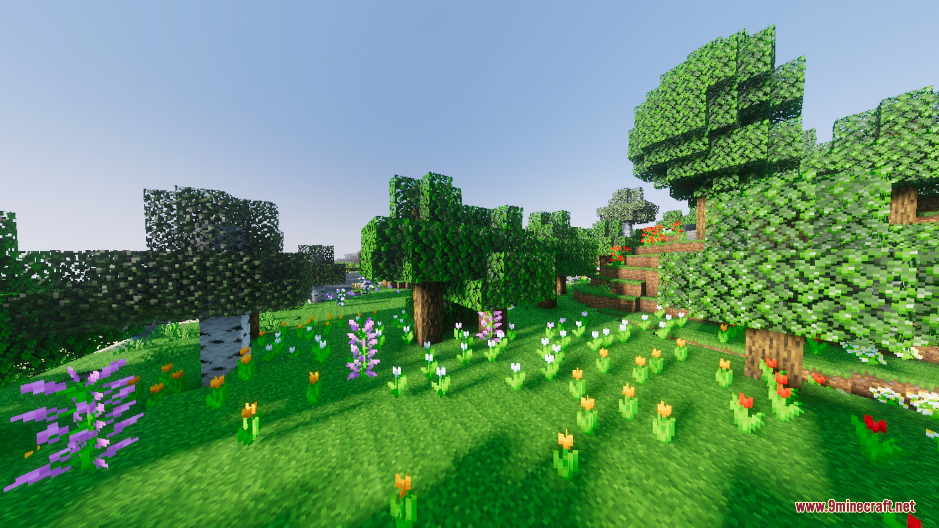Origin Vibrant Visuals Shader Screenshot 10 Lush green forest filled with colorful flowers and vibrant sunlight filtering through trees