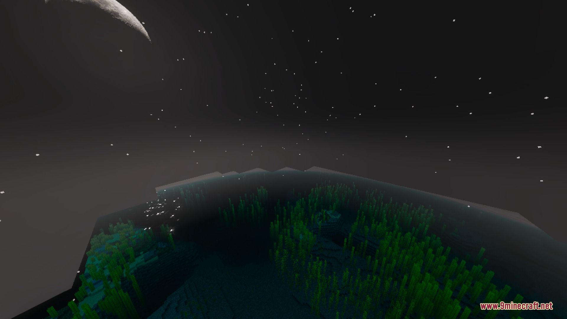 Origin Vibrant Visuals Shader Screenshot 4 Clear night sky with a crescent moon above dense underwater seagrass beds