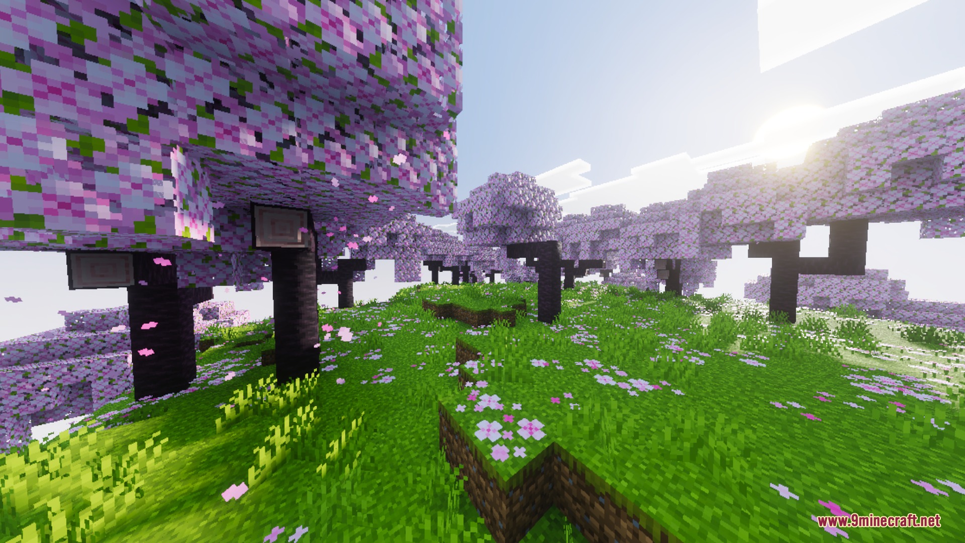 Origin Vibrant Visuals Shader Screenshot 7 Sunlight shines over pink cherry blossom trees in a vibrant meadow