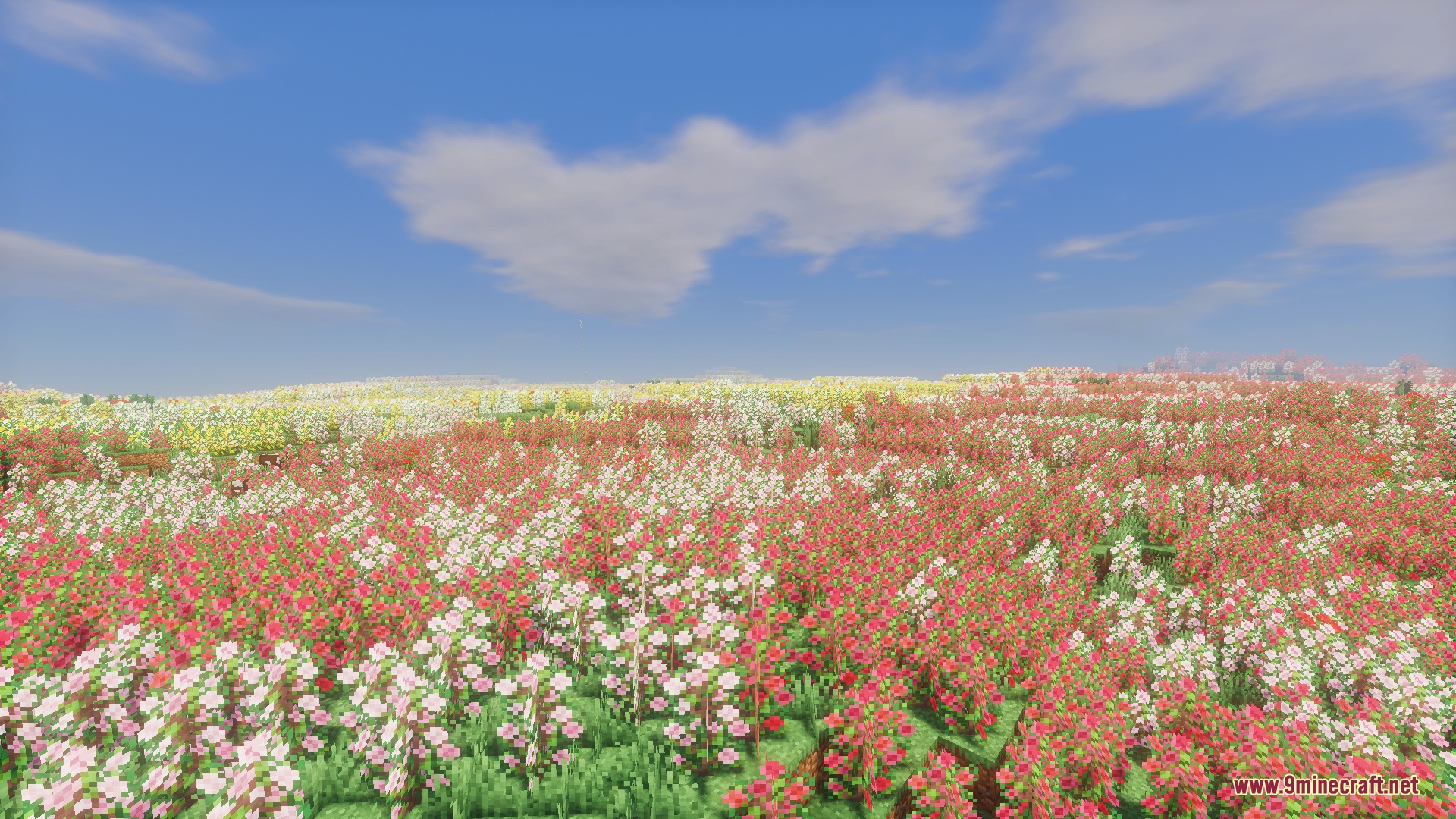 A vast field of colorful blossoming flowers in a vibrant botanical biome