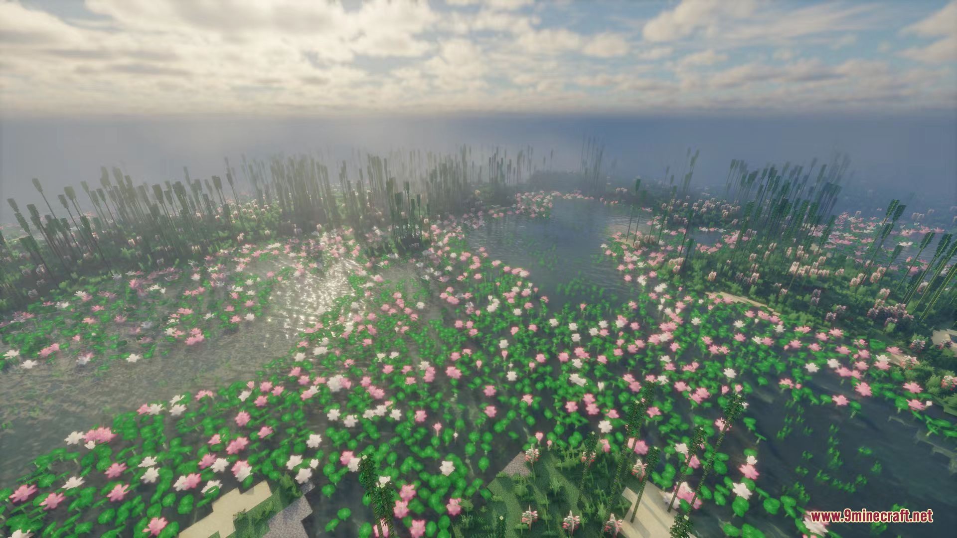A scenic lake filled with pink lotus flowers and tall aquatic plants