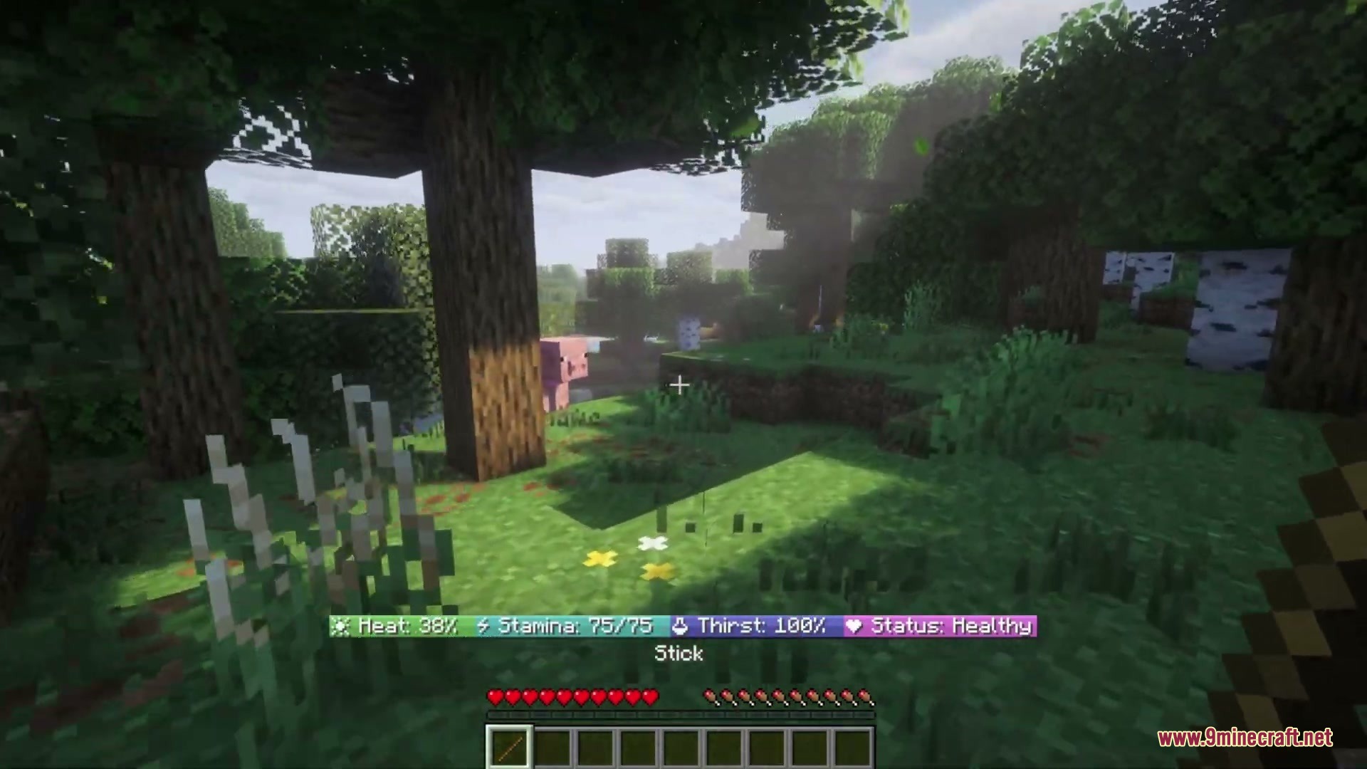 Overly Realistic Mod Screenshot 1 Overly Realistic Mod adds a custom survival HUD with temperature and thirst bars