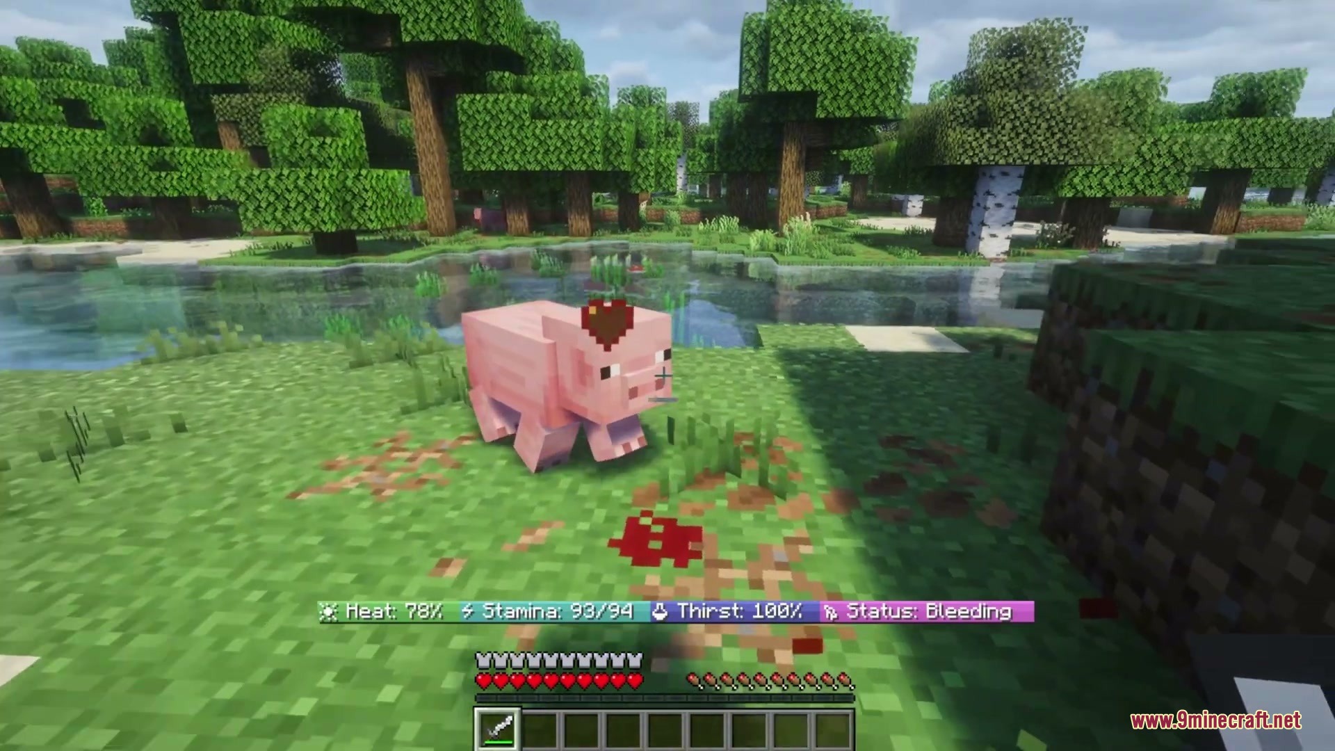 Overly Realistic Mod Screenshot 2 A bleeding pig on the grass with realistic survival status effects displayed
