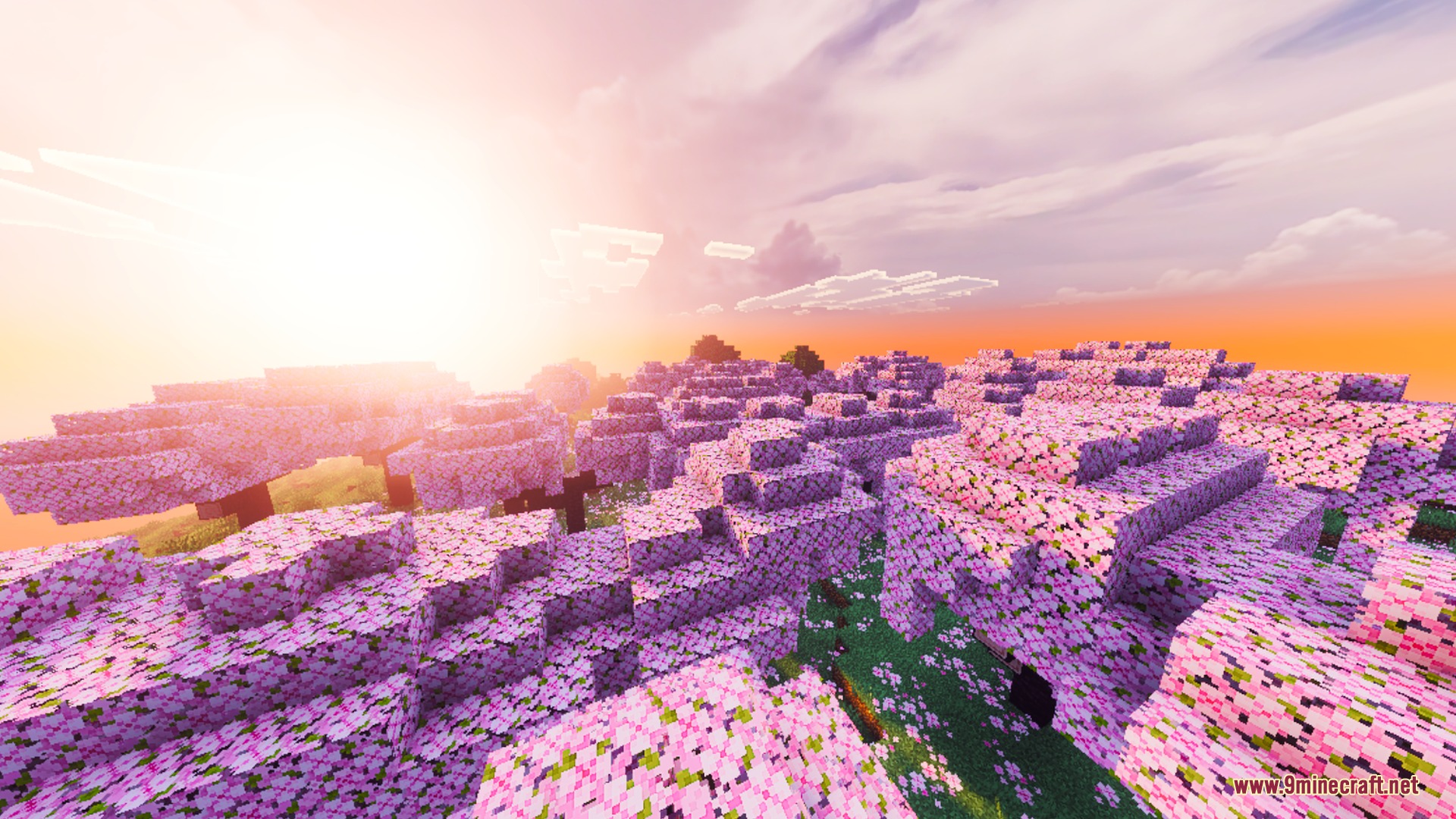 Cherry blossom forest showcasing realistic lighting from the PLUS for Vibrant Visuals shader