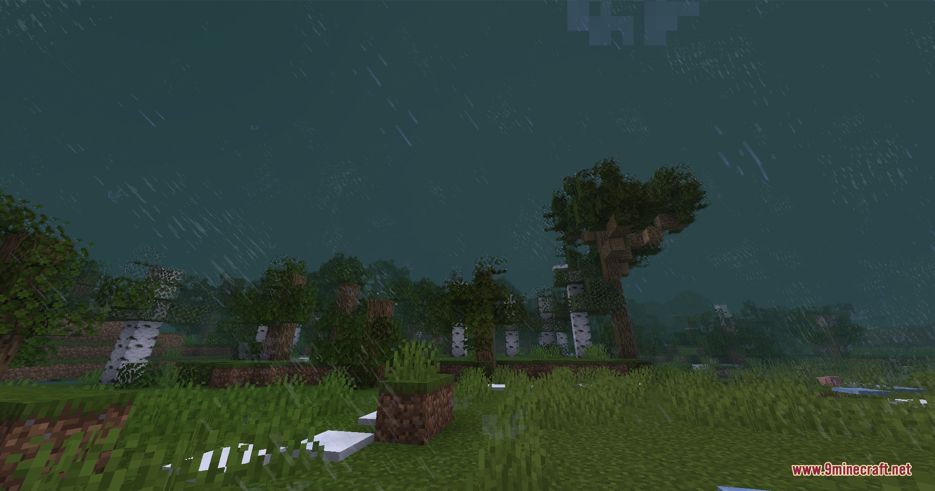 PMW Precipitation Redone Resource Pack Screenshot 8 Smaller rain particles falling in a birch forest during a heavy storm