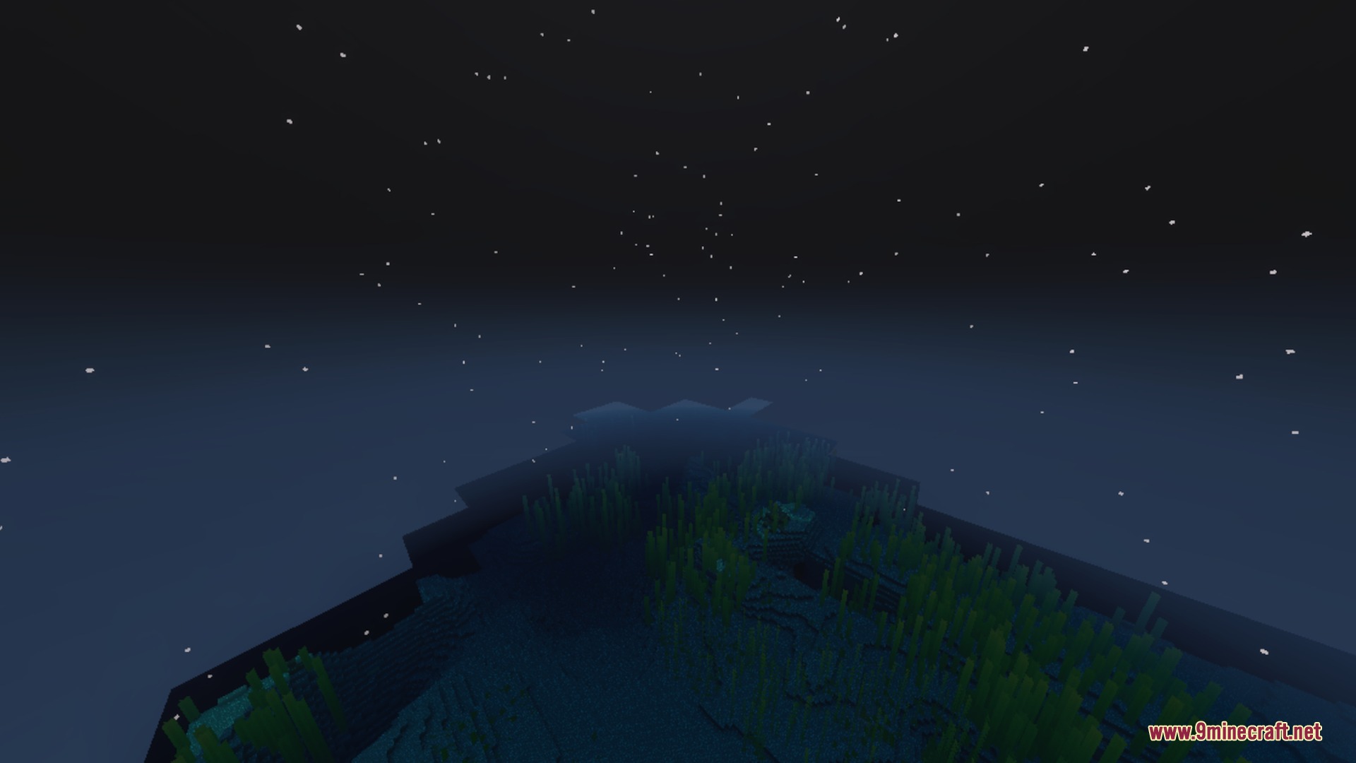 A starry night sky shines over the dark ocean with visible underwater vegetation