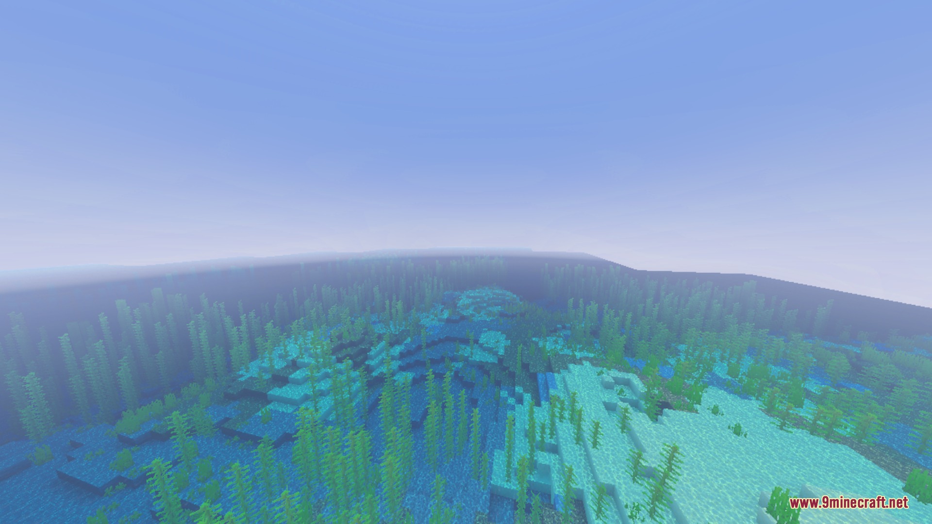 A wide underwater view of a clear ocean with kelp and coral