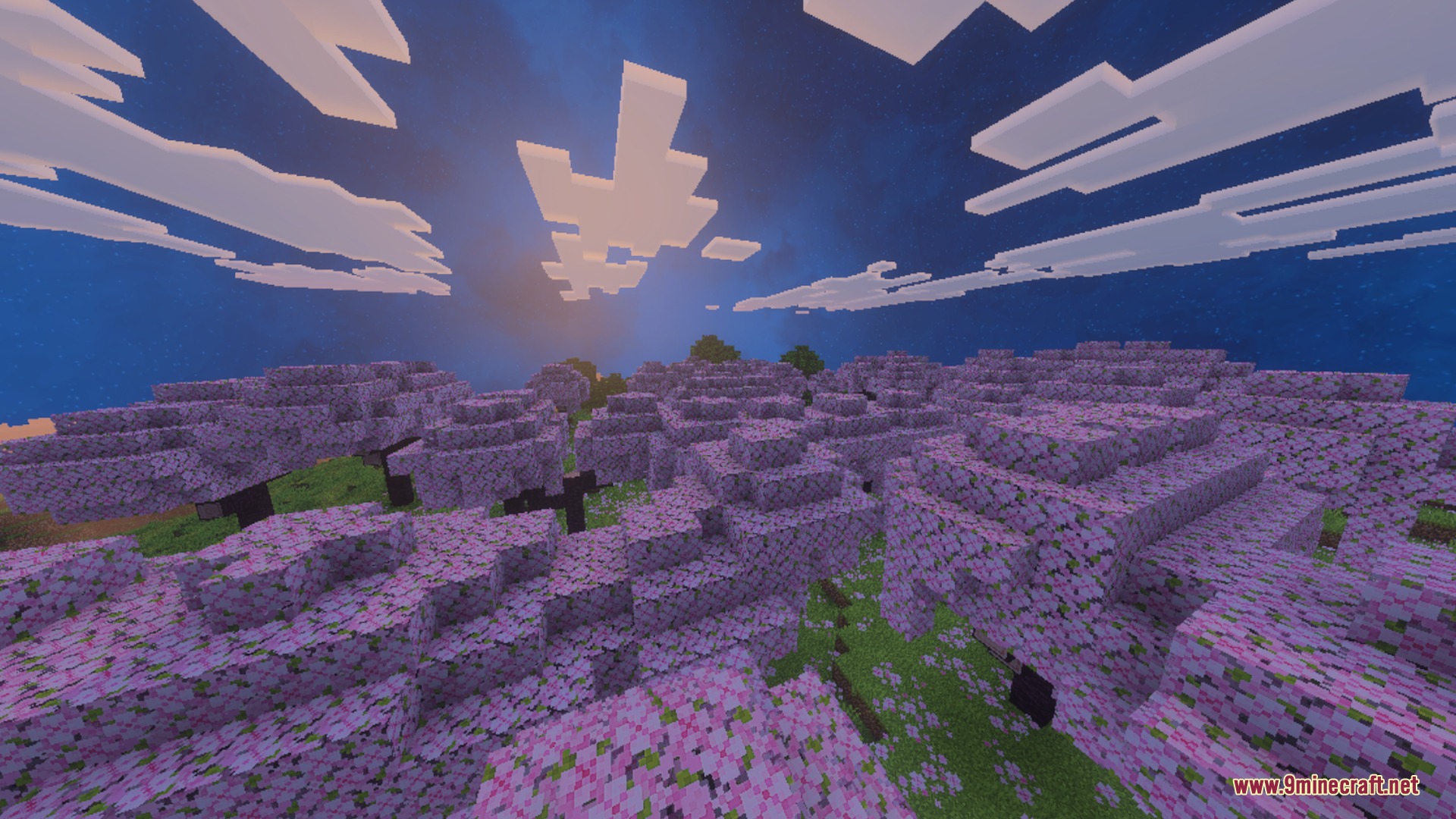 Paradox Pvp Shader Screenshot 3 Lush pink cherry blossom trees stretching across the landscape under a sunset sky