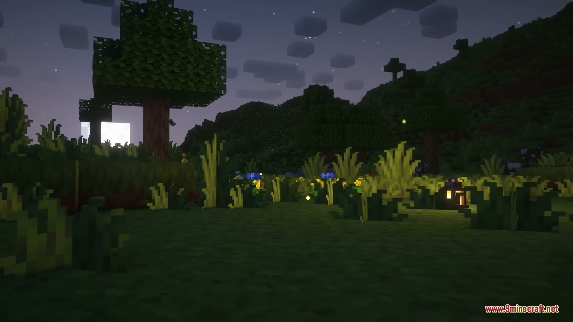 Particular Reforged Mod Screenshot 10 Glowing fireflies floating around tall grass and flowers in a dark field