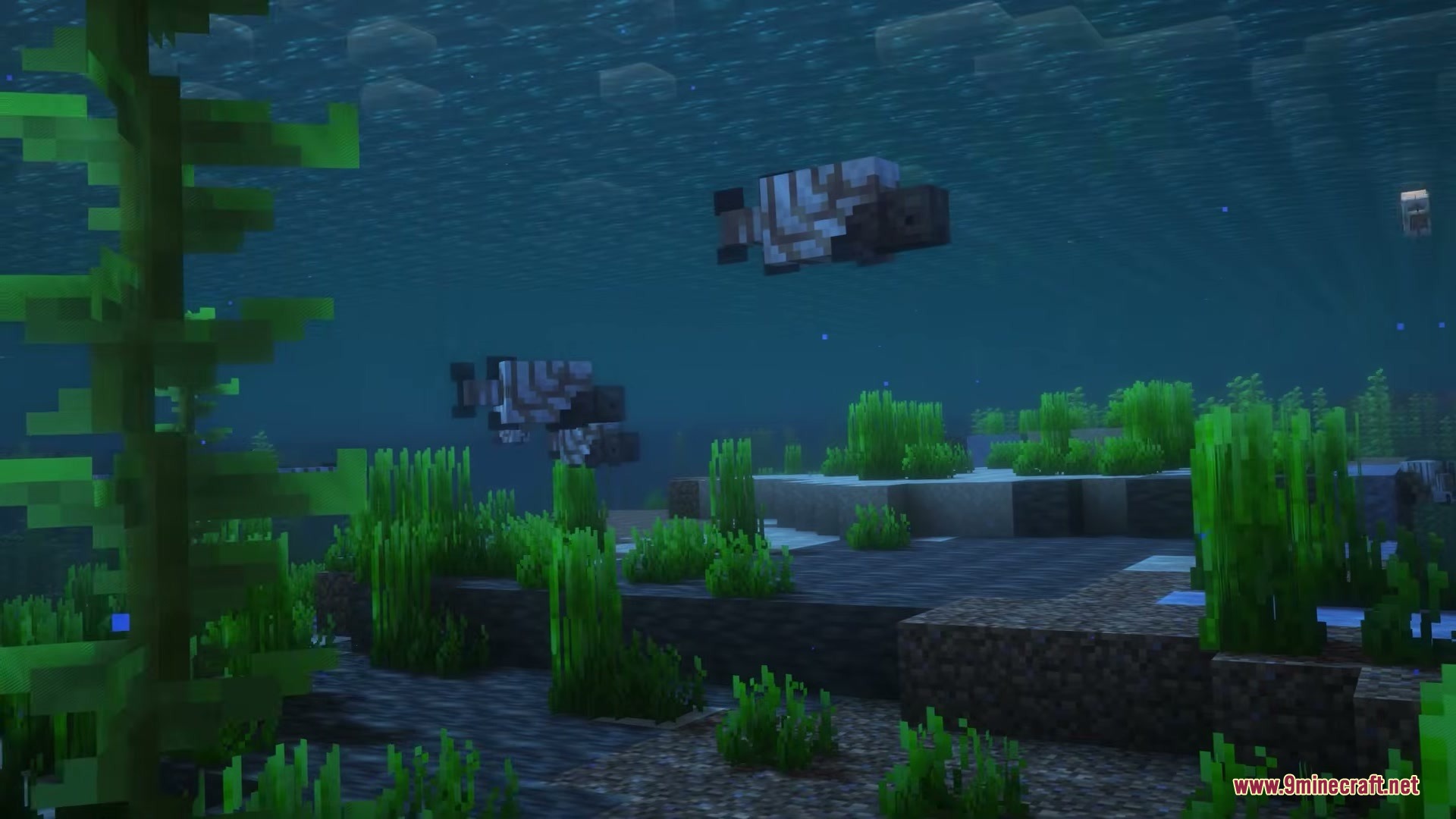 Pelagic Prehistory Mod Screenshot 7 Two prehistoric fish swimming in a deep ocean biome with seagrass