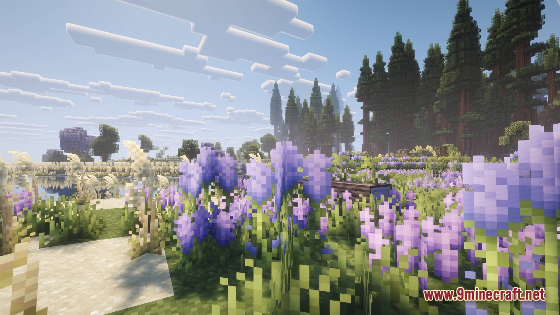 Perennial Core Modpack Screenshot 3 A field of purple flowers and tall grass bordering a coniferous forest under a clear sky