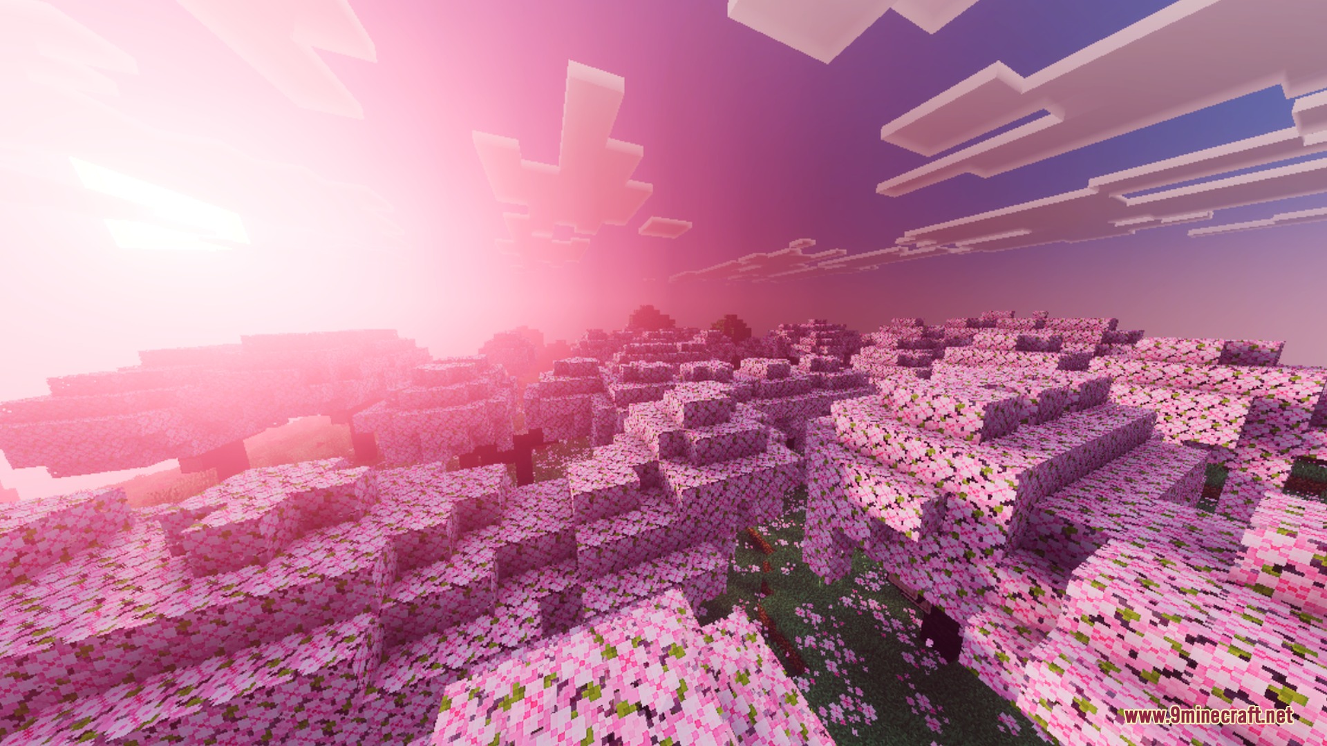 Pie Shader Screenshot 3 Lush cherry blossom forest glowing under a vibrant pink sunset in Minecraft