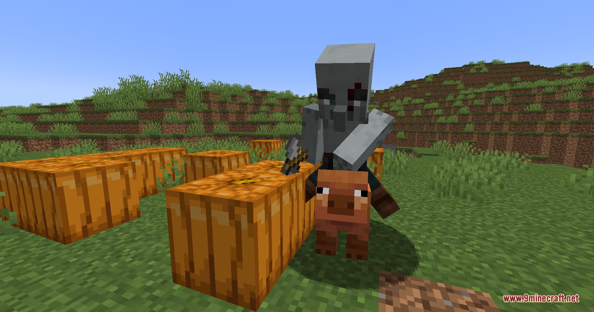 A hog rider pillager rides a battle pig through a field