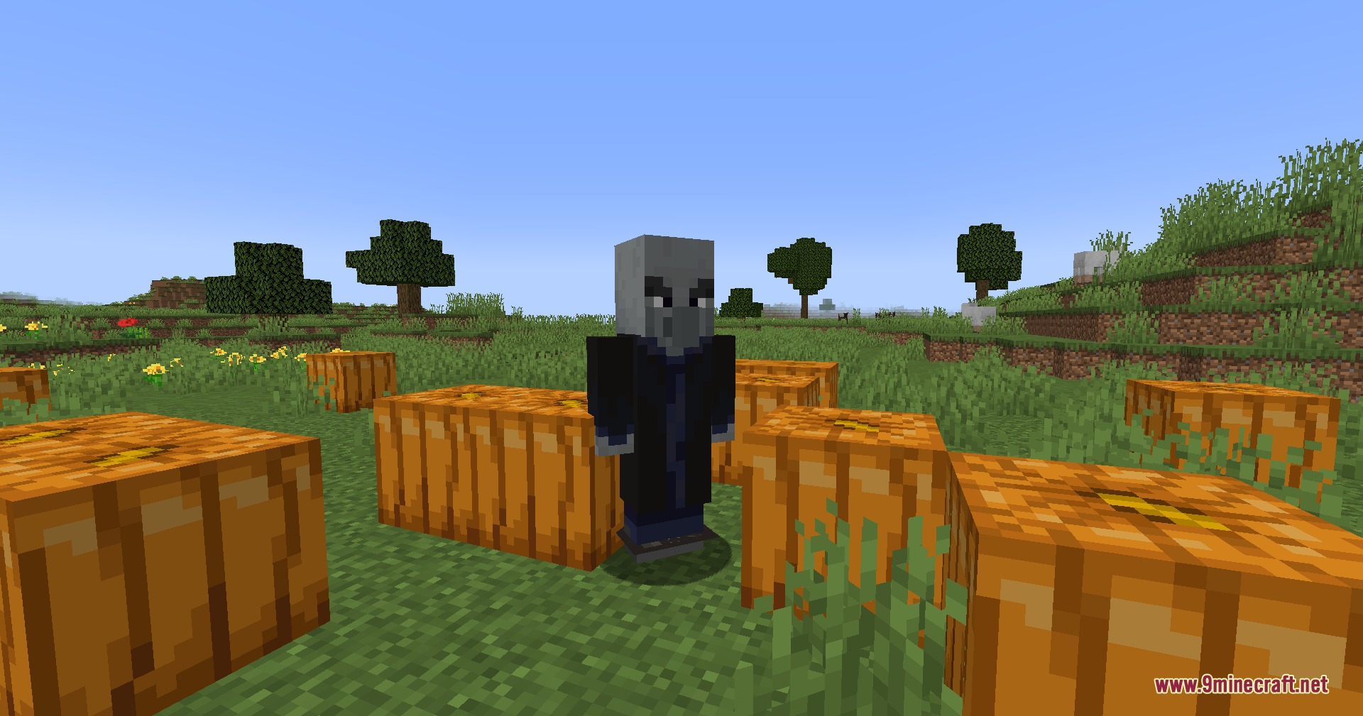 A Mage Pillager wearing a dark robe stands among pumpkins in a field