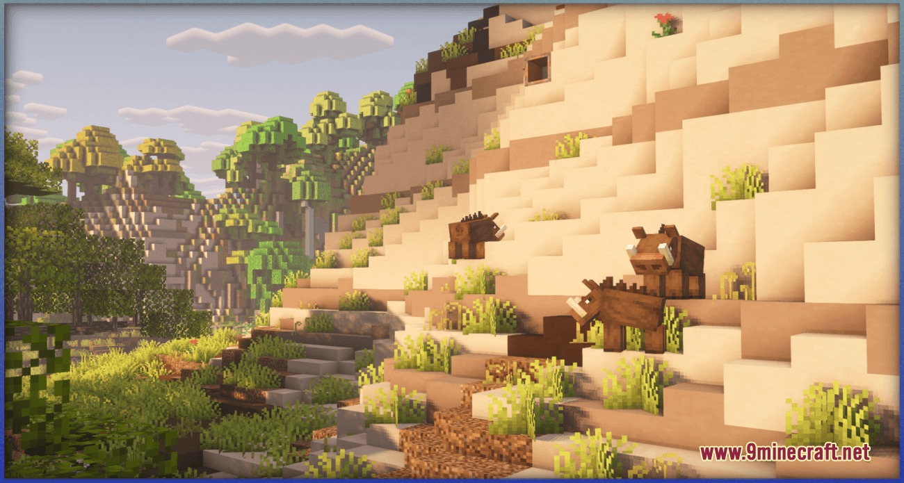 Hoglins standing on a sandy hill with grass growing on sand blocks