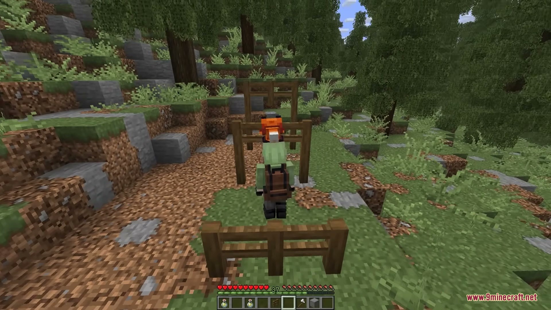 Player Charge Jump Mod Screenshot 5 A player character with a fox on their head standing near wooden fences
