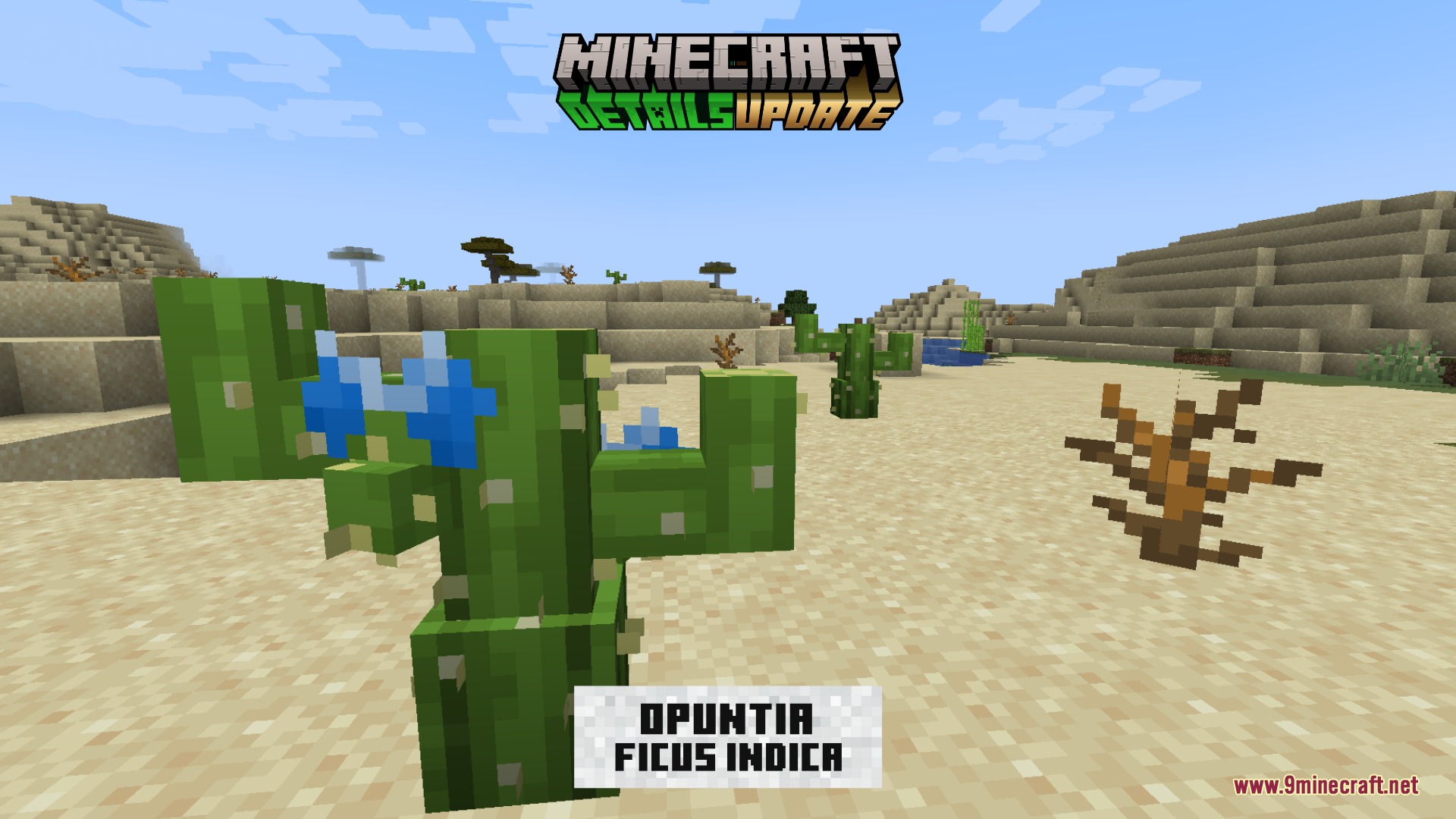 Polished Essence Mod Screenshot 4 Opuntia Ficus Indica cactus with blue flowers in a sandy desert biome