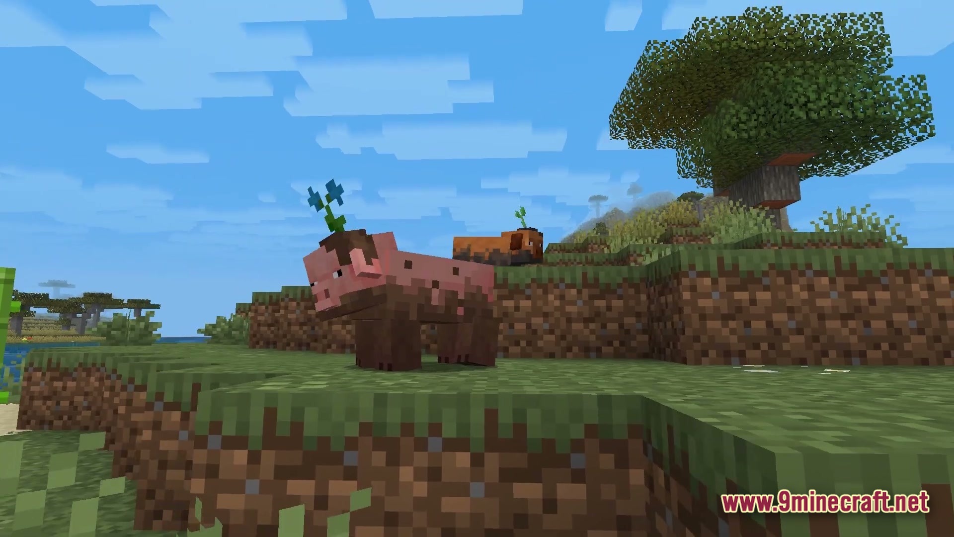 Polished Realm Essence Modpack Screenshot 4 Muddy pigs with flowers on their heads stand on a grassy hill in a savanna biome