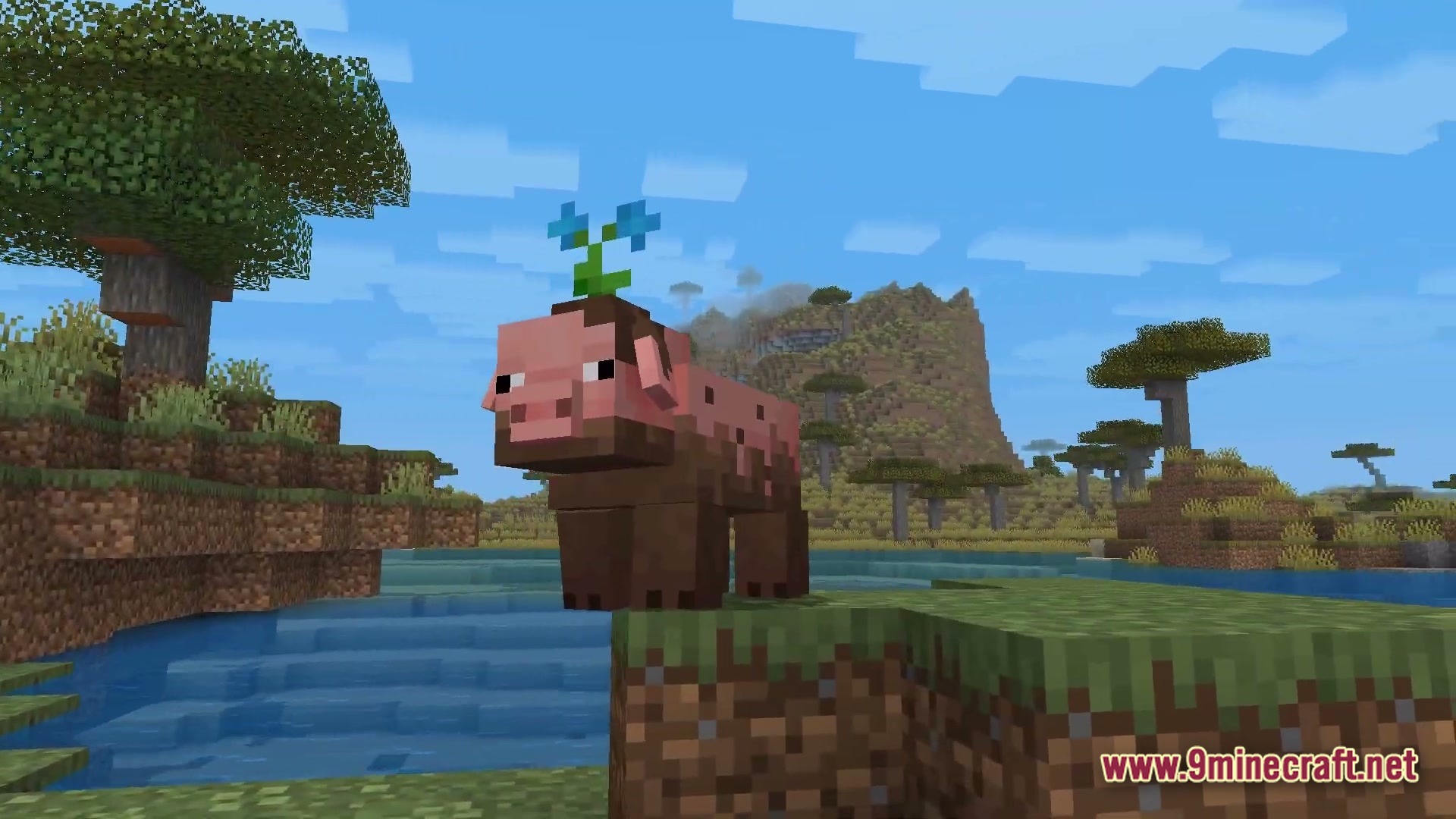 Polished Realm Essence Modpack Screenshot 5 A muddy pig with a flower on its head stands in a savanna biome near water