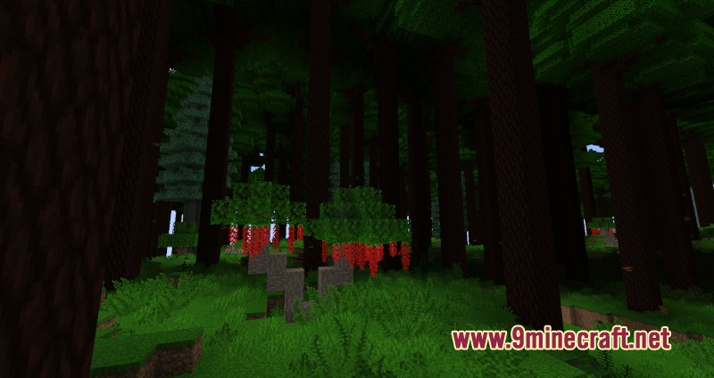 Primal Verdant Wilds Mod Screenshot 7 Dense Minecraft forest with tall trees and red flowering hydrangea trees