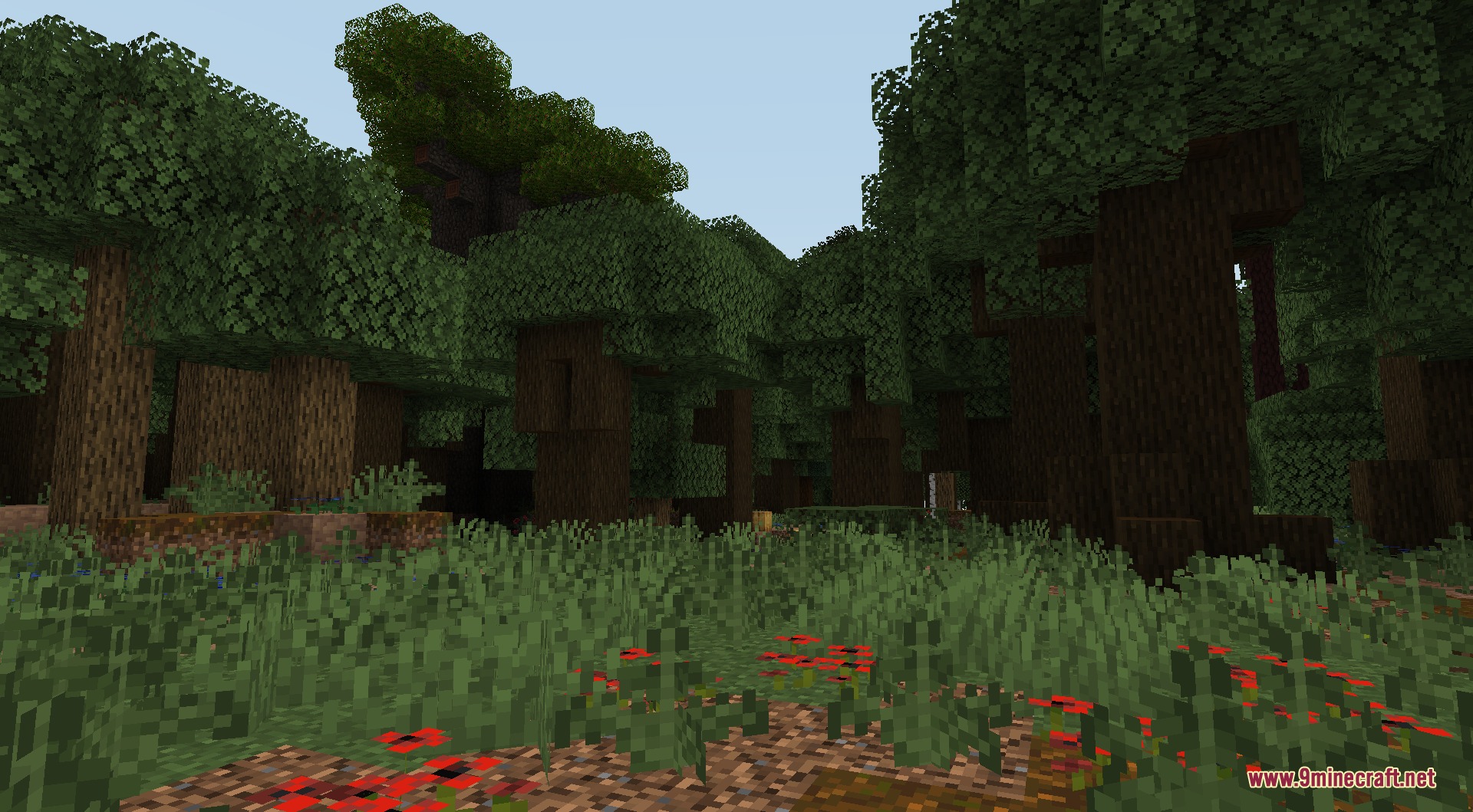 Dark forest biome with dense tree canopies and red flowers on the ground