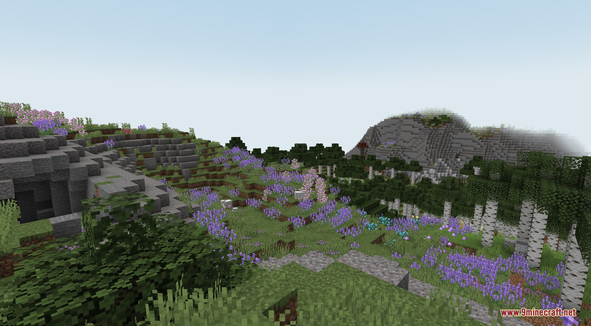 Lush meadow biome with purple flowers and a rocky mountain in the distance
