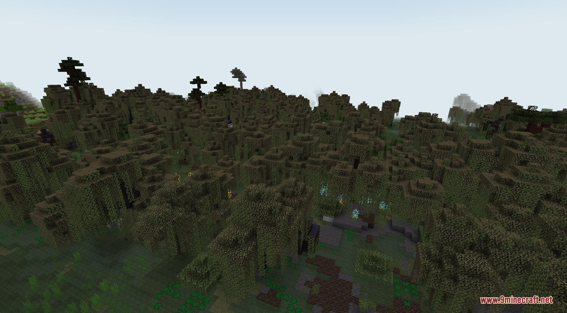 Dense swamp forest with thick tree canopies and glowing blue ground plants
