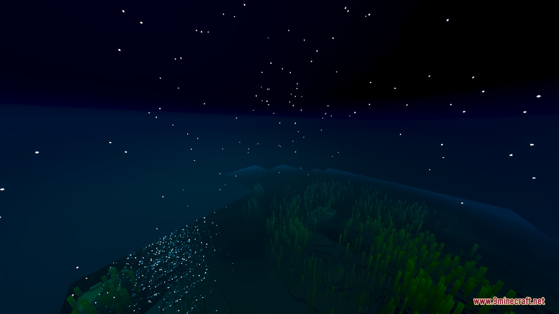 Nighttime underwater landscape featuring glowing particles and green kelp on the seabed