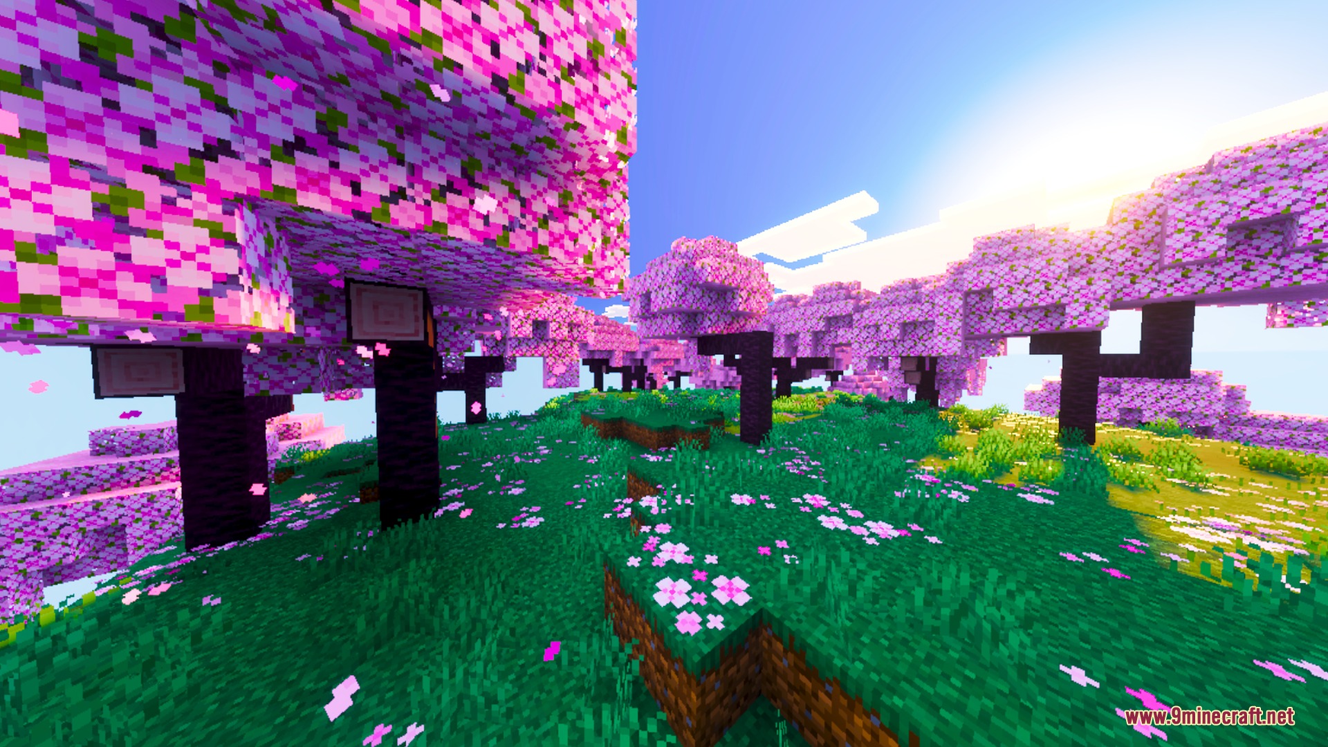 Pink cherry blossom trees stand in a vibrant field under a bright sun