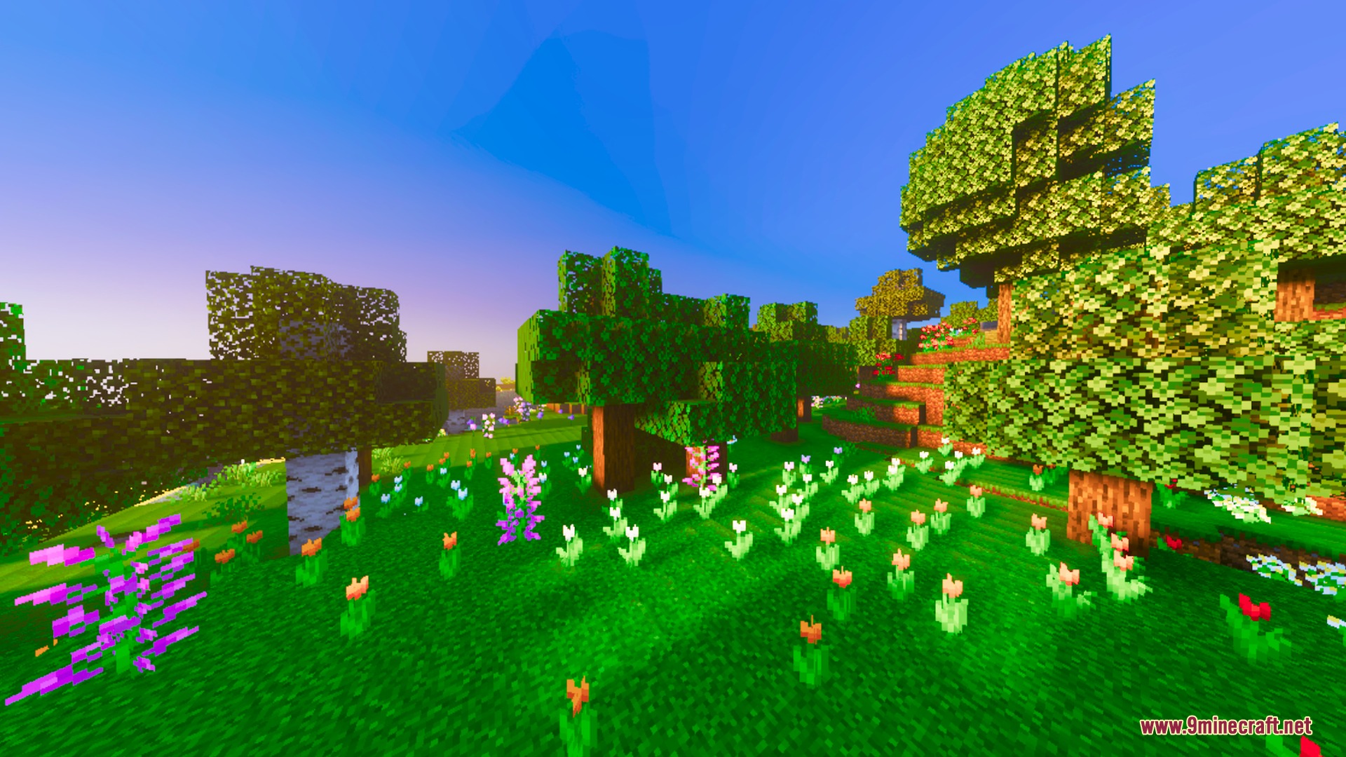 Vibrant flower forest with colorful tulips and lush green grass under blue sky