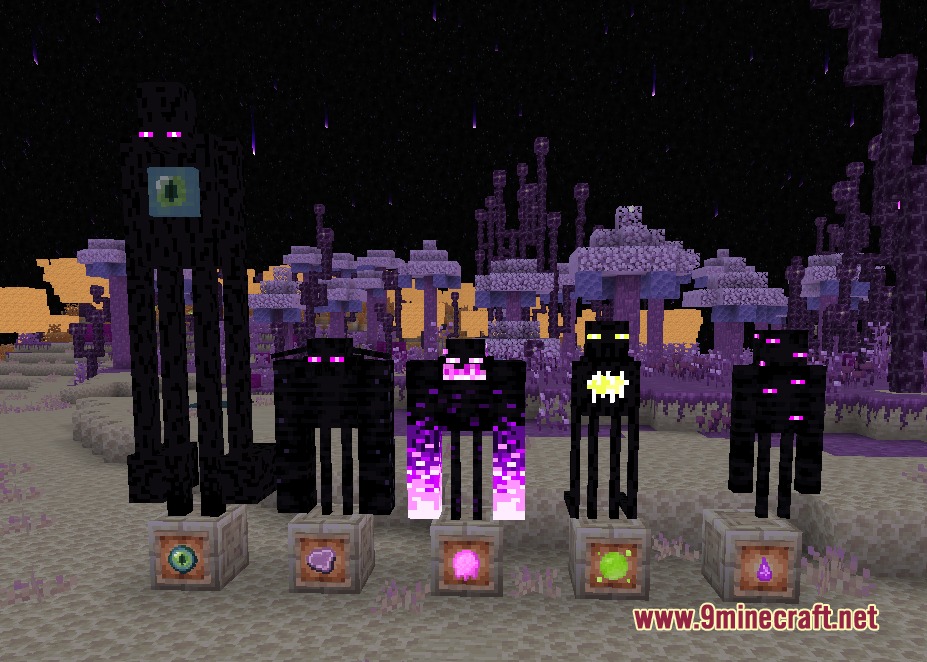New End mobs standing above item frames showing their unique drops