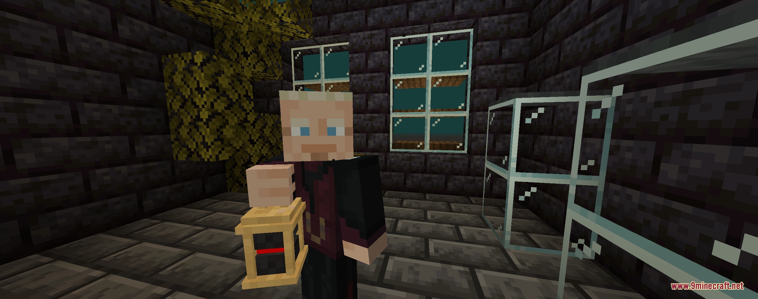 Pugmeowla's Infinity Stone Core Mod Screenshot 3 A character holding the Eye of Agamotto container inside a dark stone room