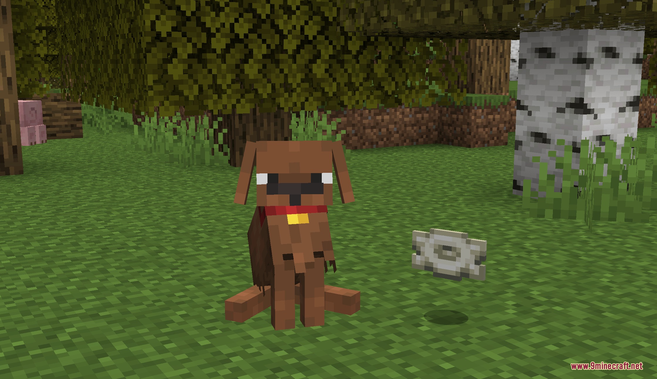Puppy Paws Mod Screenshot 1 A brown dog sitting on the grass next to a new music disc
