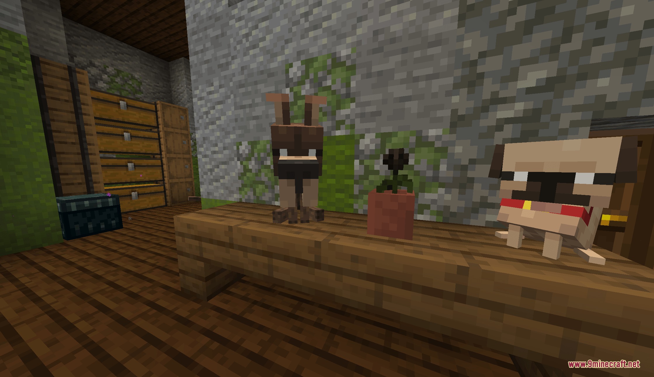 Puppy Paws Mod Screenshot 4 A small brown dog and a pug sitting on a wooden table indoors