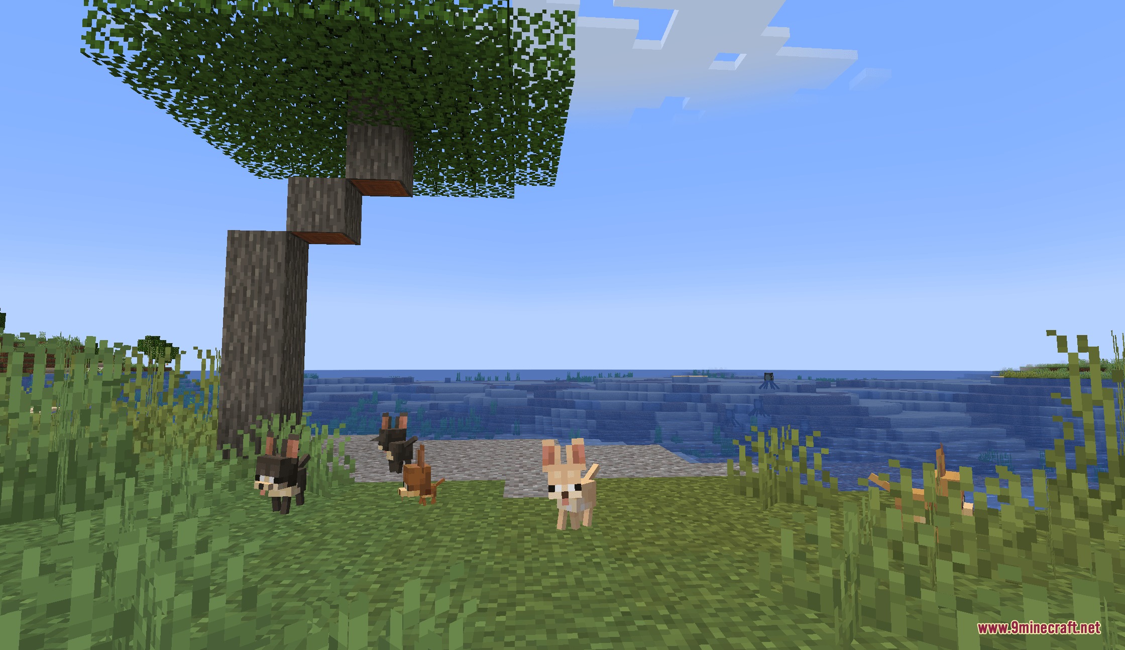 Puppy Paws Mod Screenshot 6 Several small dogs gathered under a tree overlooking a vast blue ocean