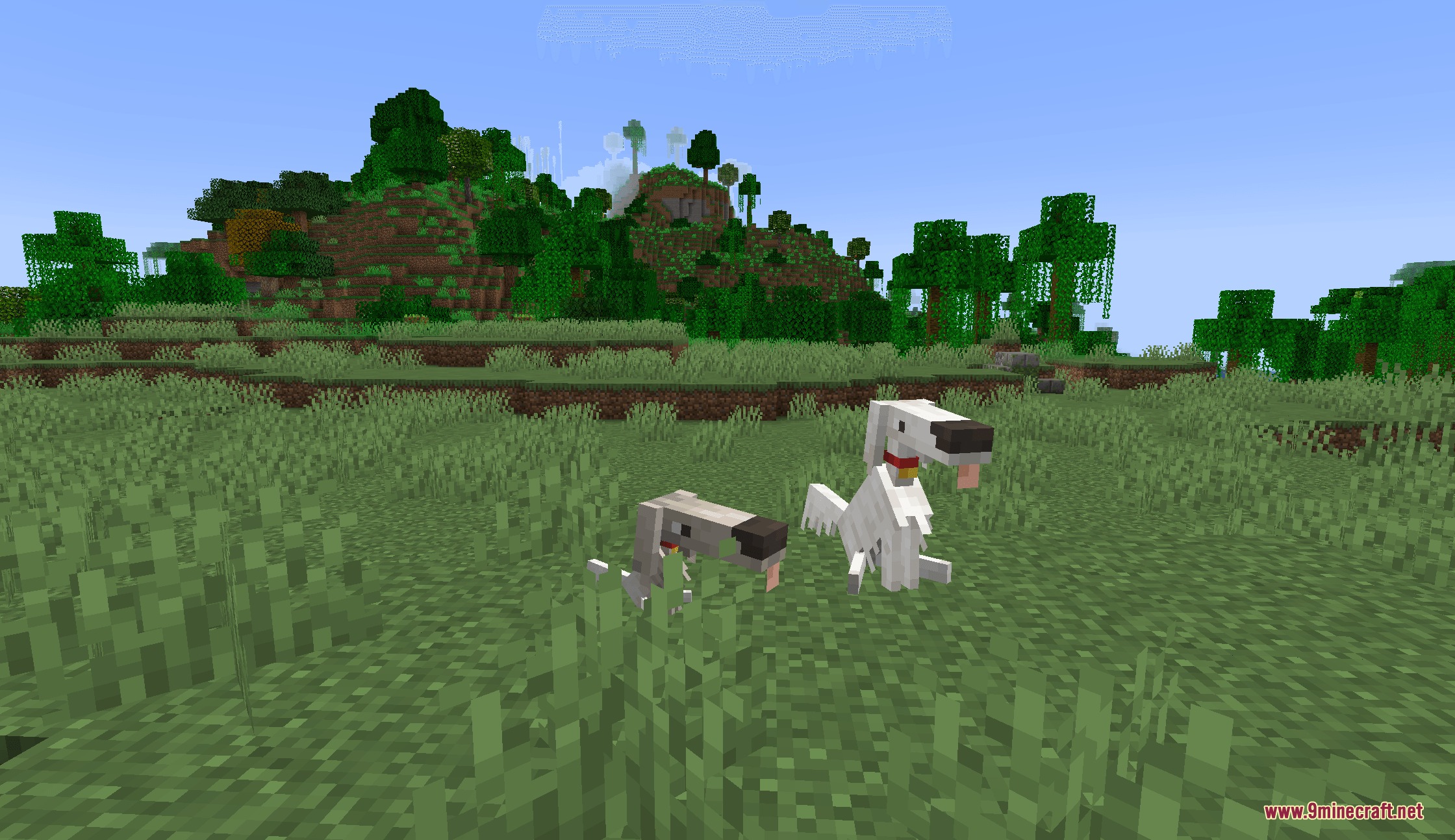 Puppy Paws Mod Screenshot 7 Two long snouted Borzoi dogs standing together in a grassy Minecraft biome