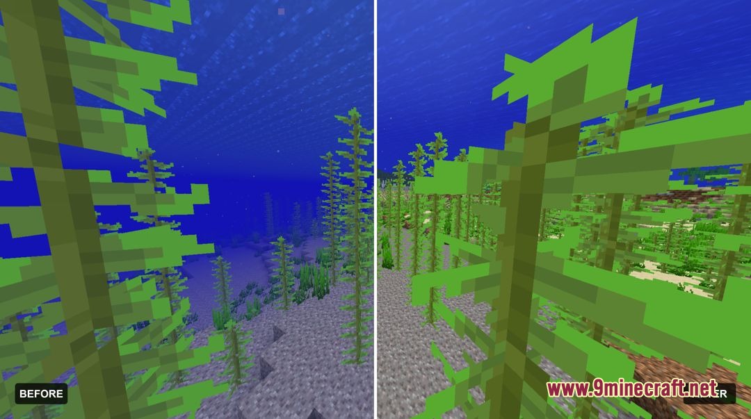 Before and after comparison showing clear water for improved underwater visibility