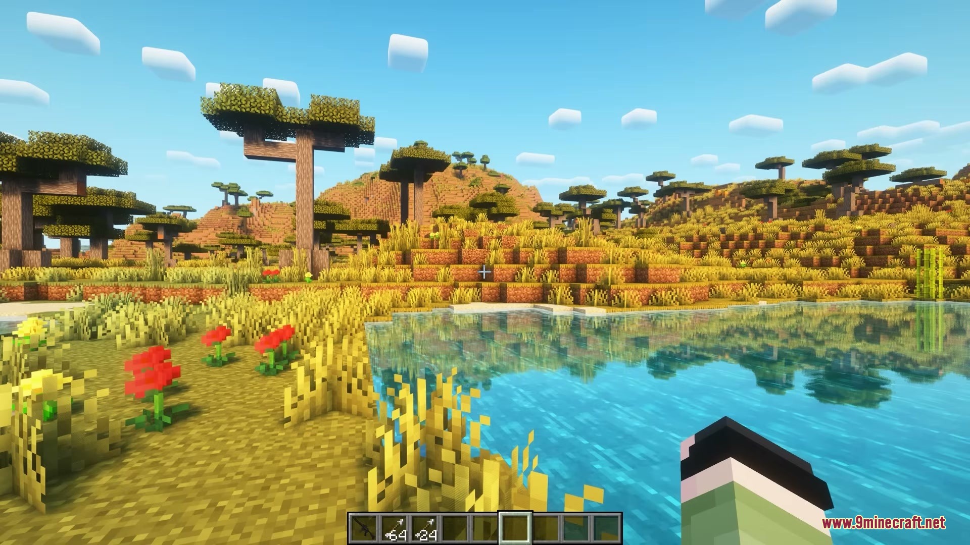 Quick Resource Pack Mod Screenshot 2 Clear water reflecting the sky in a savanna biome with red flowers