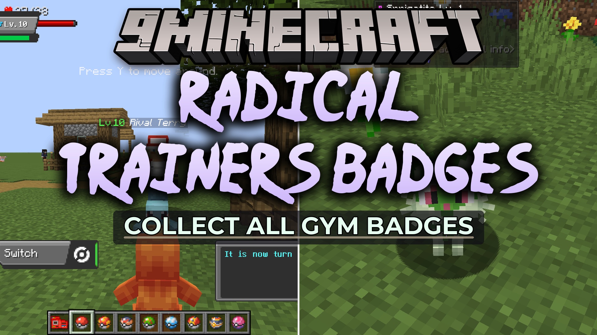 Radical Trainers Badges Data Pack
