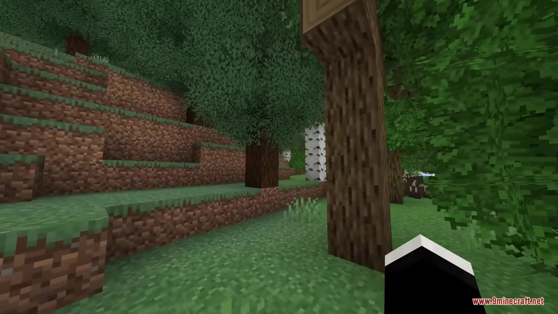 Rainbow's Foliage Polytone Resource Pack Screenshot 3 Exploring a dense forest with bushy leaves and diverse trees in Minecraft