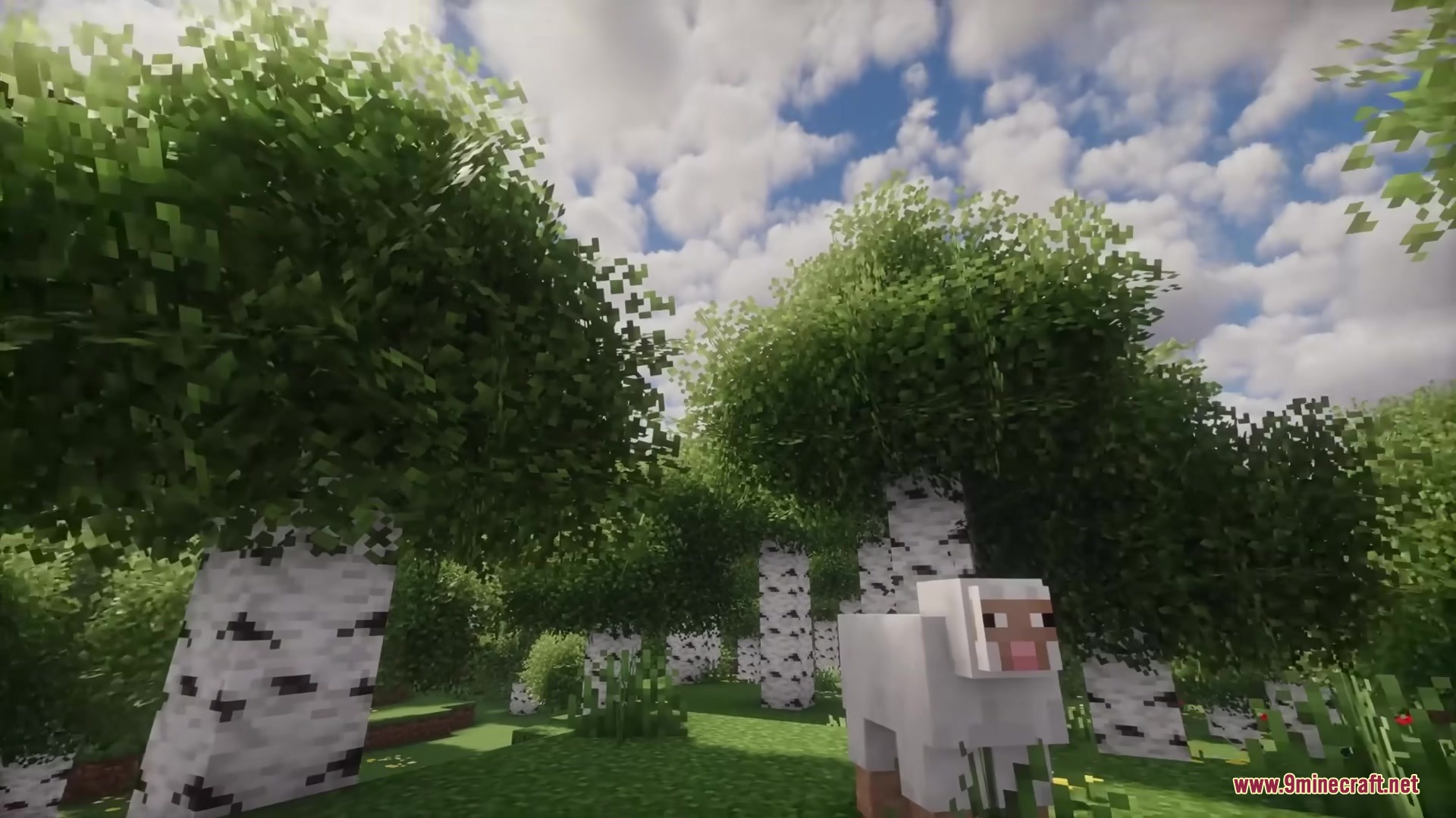 Rainbow's Foliage Polytone Resource Pack Screenshot 5 A white sheep stands in a birch forest with dense bushy leaves
