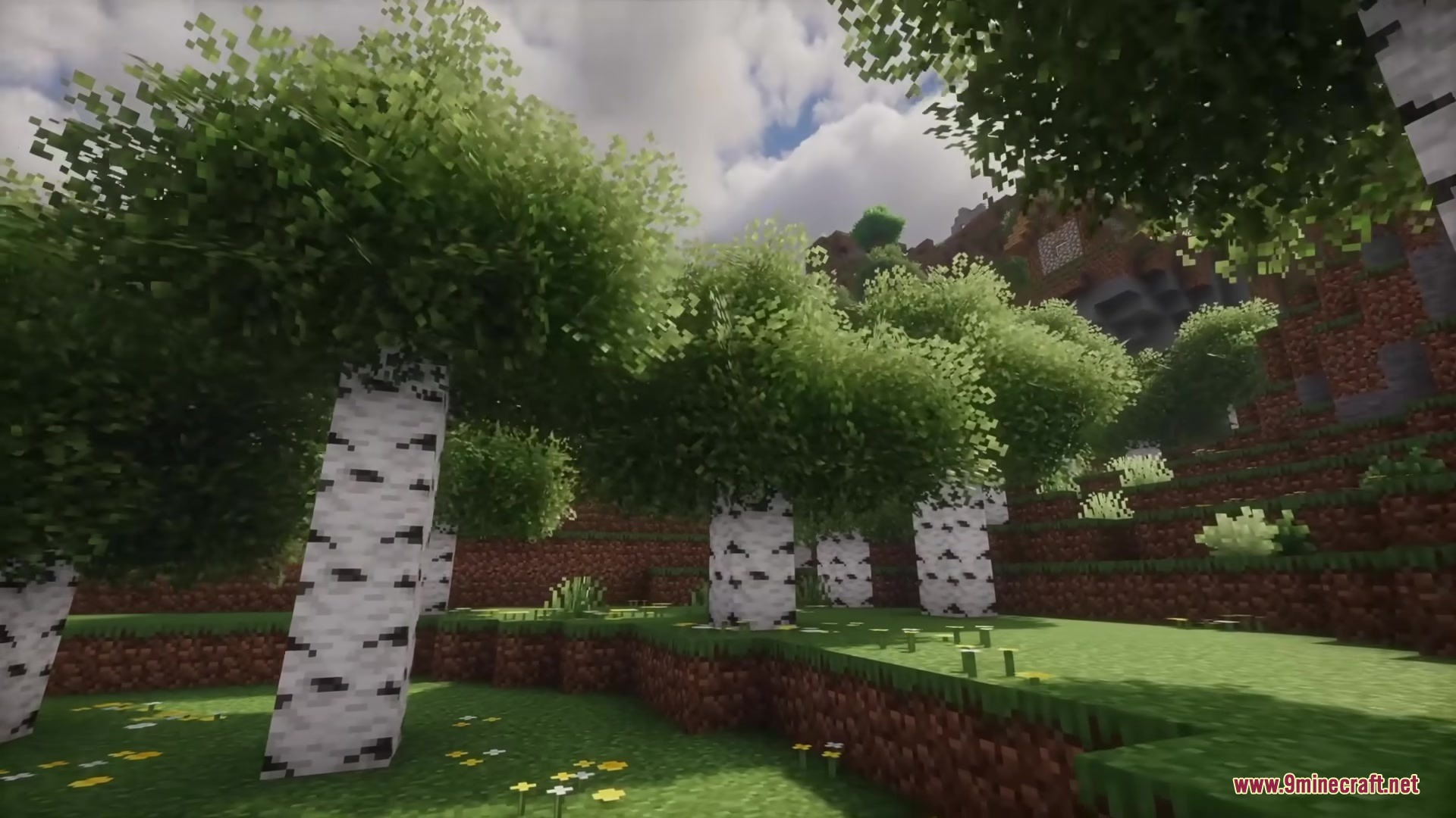 Rainbow's Foliage Polytone Resource Pack Screenshot 6 Lush birch forest with bushy leaves and yellow flowers on a hillside