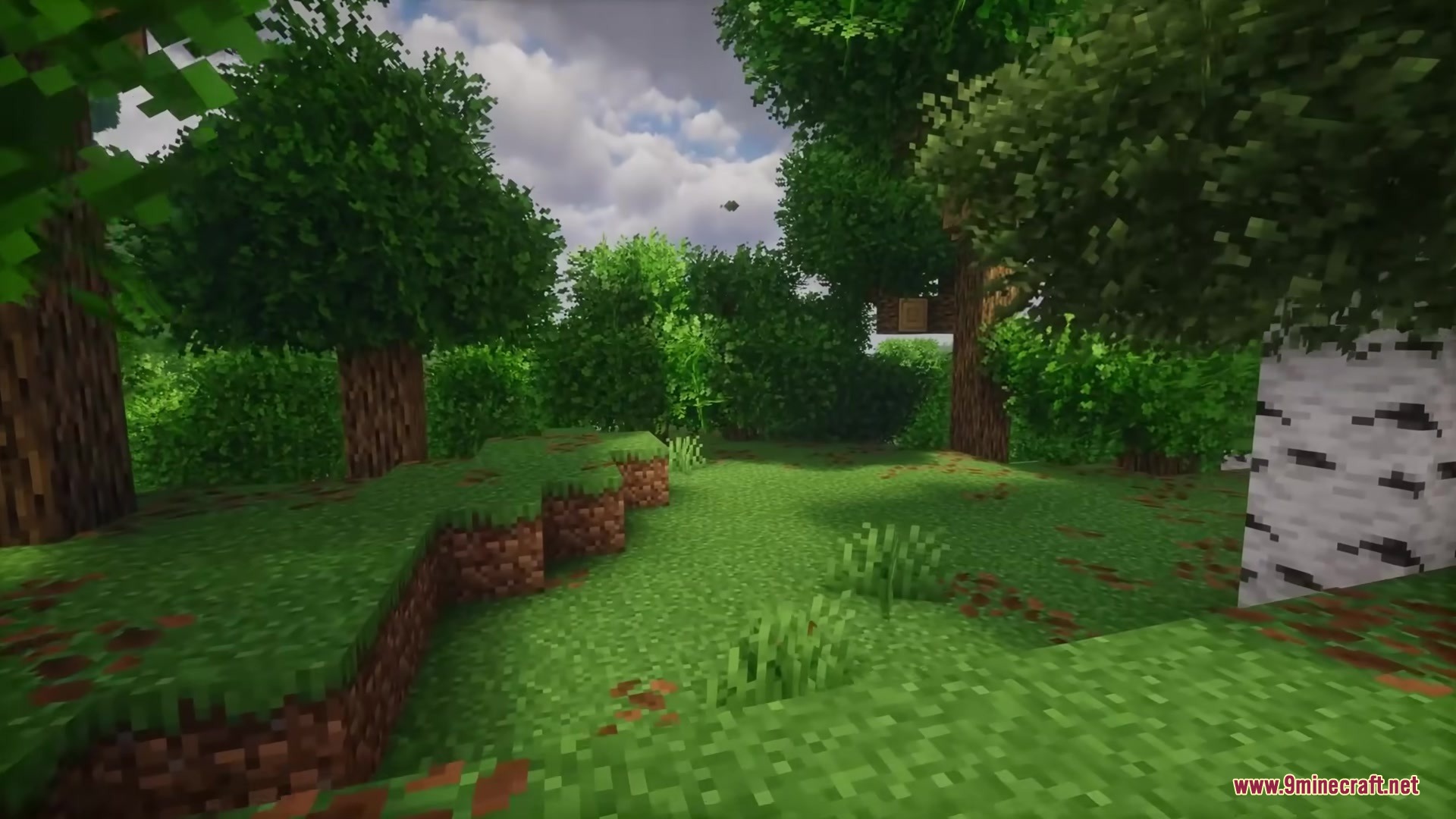 Rainbow's Foliage Polytone Resource Pack Screenshot 7 Dense green forest with bushy leaves and grass under a cloudy sky