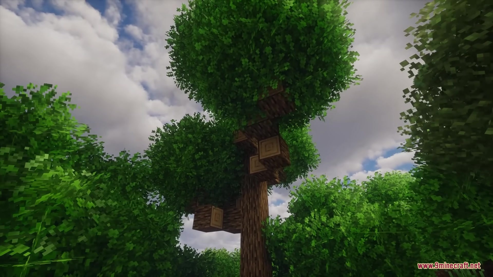 Rainbow's Foliage Polytone Resource Pack Screenshot 8 Rainbows Foliage Polytone Resource Pack adds thick bushy leaves to Minecraft trees