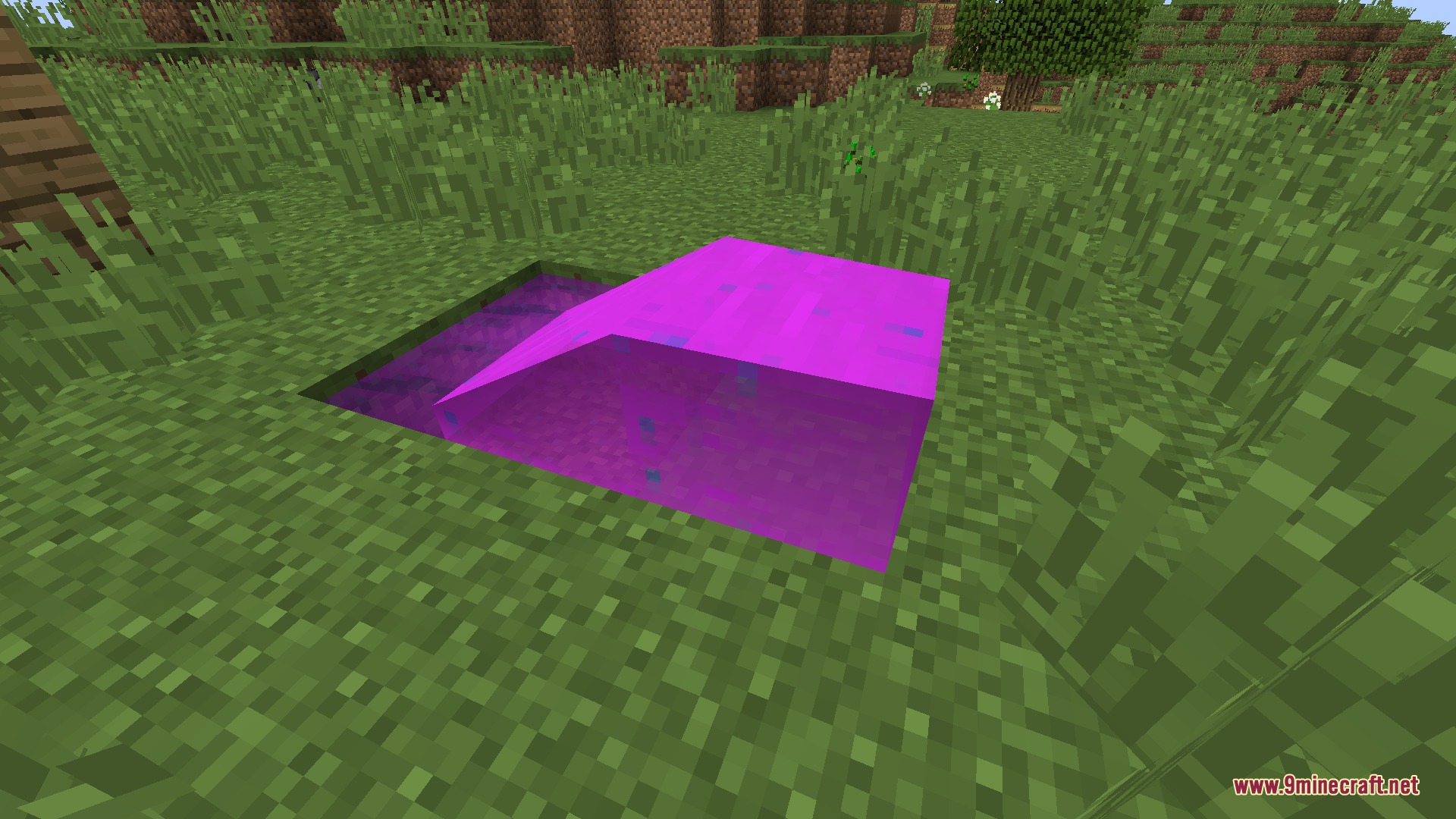 A pool of vibrant purple fluid sits inside a small dirt hole